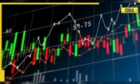 华发股份上半年持续深化“3+1”业务格局 跃进行业第一梯队